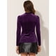 thumbnail image 3 of Blusas de terciopelo para mujer Blusa de manga larga con cuello simulado y purpurina metálica Morado oscuro L, 3 of 4