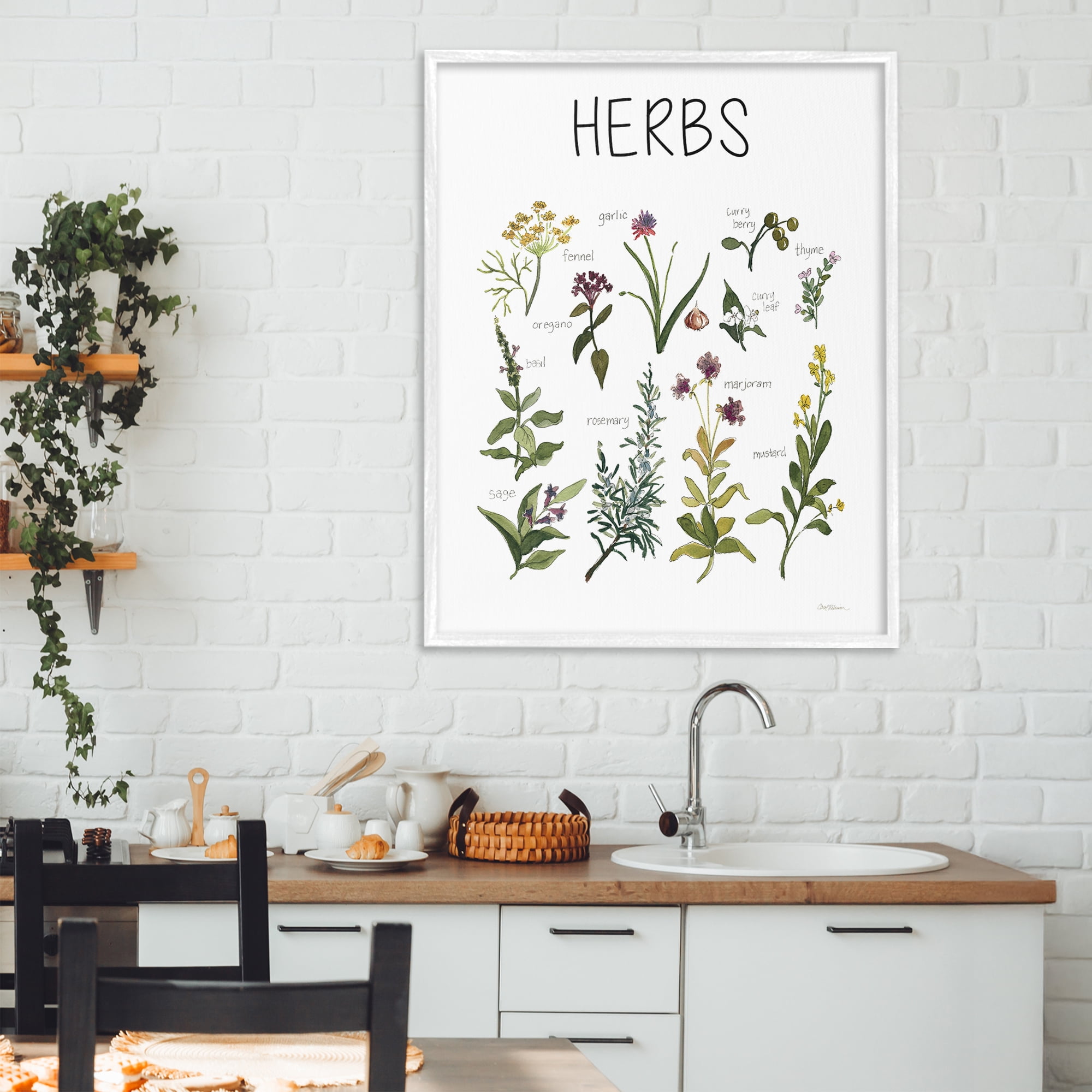 Stupell Industries Herbs Identification Chart White Framed Giclee Art, design by Carol Robinson