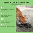 thumbnail image 7 of RAGUPEL Enzyme Cleaner & Odor Eliminator for Strong Odor - Pet Stain Remover for Carpet,Upholstery,Hardwood,Dog & Cat Urine - Powerful Deodorizer for Home,Floors,Furniture,& Carpet Cleaning, 7 of 7