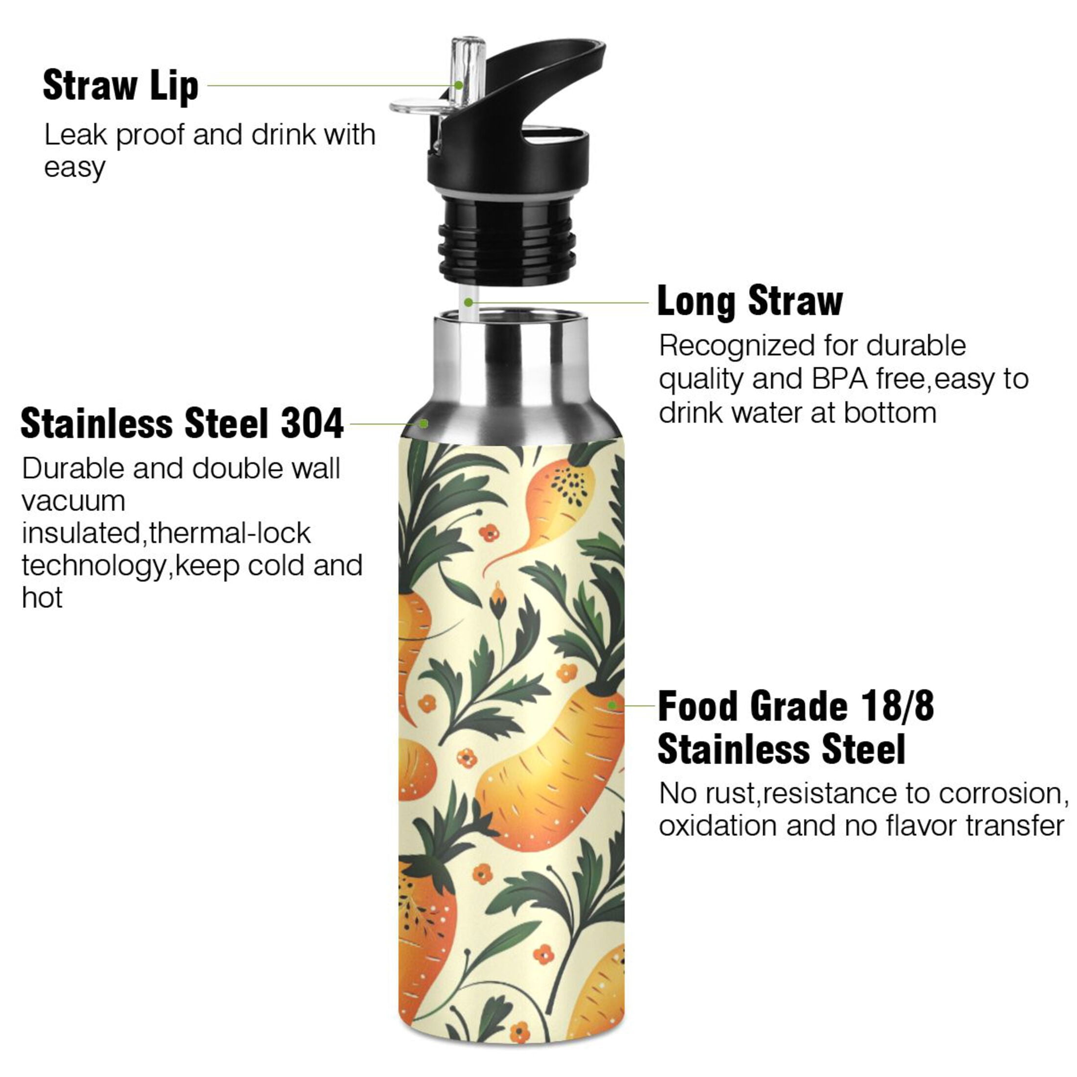 Water Bottles 20oz Straw Lid Wide Mouth Stainless Steel for School Sport Travel Parsnip Folk Art