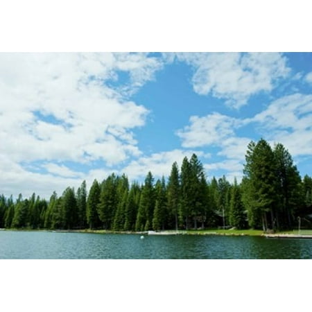 Trees along bank of Lake Almanor California USA Canvas Art - Panoramic Images (36 x