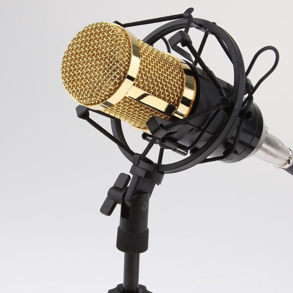 LeeQinersw Cardioid Condenser Microphone for Conference Room Meetings Singing Broadcasting Black