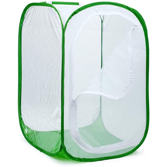 Insectos y Mariposas Hábitat Jaula Terrario Pop-Up 40*40*60cm JAMW Sencillez