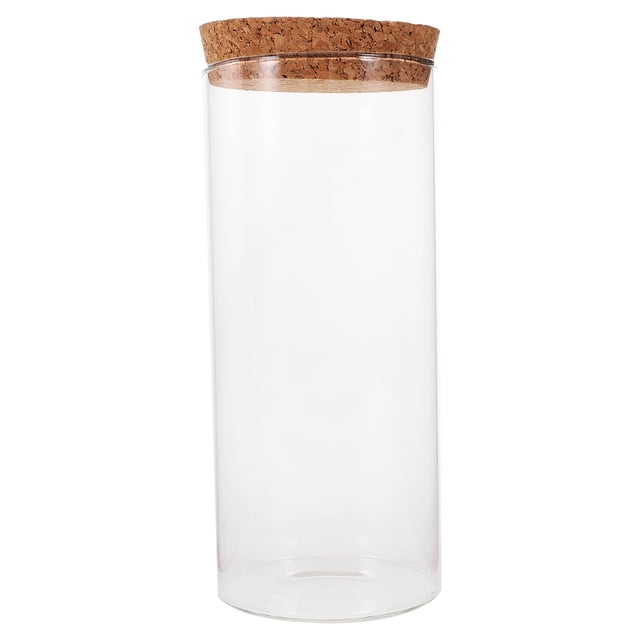 Miangastore Hydroponic Terrarium Glass Planter Bottle Clear Plant Holder with Lid Moss Terrarium