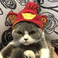 thumbnail image 1 of Cat , Headwear  Decoration Hat Chinese Copper Cash Pattern Cat Hat, For Cats Dogs, 1 of 8