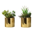 thumbnail image 3 of Indoor Plants Artificial Plant, 7" Tall, Succulent, Indoor, Faux, Fake, Table, Greenery, Potted, Set Of 2, Decorative, Green Plants, Glossy Gold Pots,Artificial Flowers, 3 of 4
