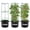 10 gallons, variant on Sturdy Triangle Tomato Cage with Movable 10 Gal Grow Bags - 3 Sets 47'' Plants Garden Trellis Planters, Support for Indoor Outdoor Beans, Peppers, Eggplants, Climbing Vegetables