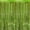A (Lime Green), variant on PMU Lime Green Metallic Curtains Party Accessories Decoration (1/pkg) Pkg/1