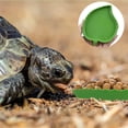thumbnail image 4 of 2 uds bandeja para reptiles, cuenco de agua para comida de reptiles, cuenco de agua para tortugas, cuenco de agua para reptiles, reptil pequeño para mascotas Sailing Electrónica, 4 of 5
