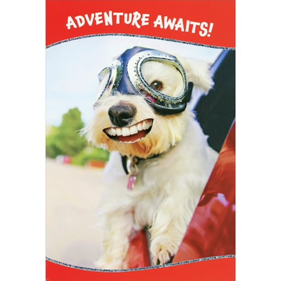 Pictura Adventure Awaits: White Dog in Aviator Goggles Sticking Head Out Car Window Funny / Humorous Birthday Card