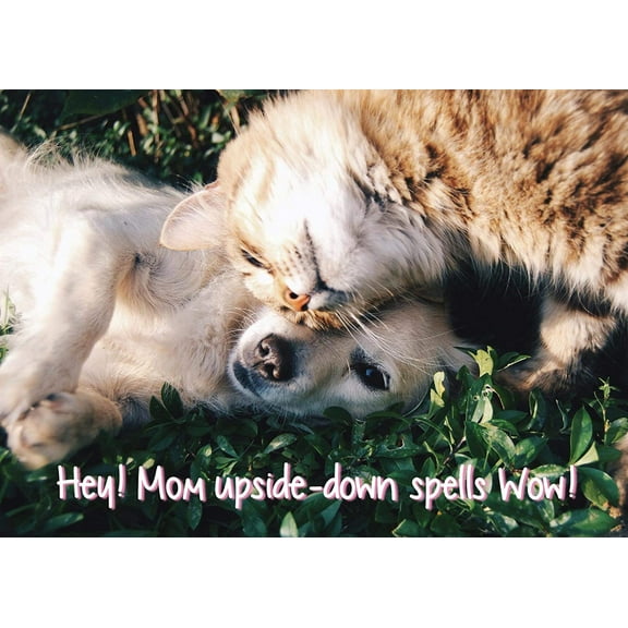 Glory To Dog Hey! Mom Upside Down Spells Wow! Up or Down, You're the Best Pet Themed Mother's Day Greeting Card