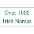 thumbnail image 4 of McNamara Irish Coat of Arms Heavy Duty Outdoor Ireland Flag - 2'x3', 4 of 4