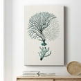thumbnail image 6 of Antique Coastal Coral III Premium Gallery Wrapped Canvas - Ready to Hang, 6 of 9