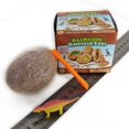 thumbnail image 5 of 3D Dinosaur Fossil Egg Digging Kit, 1/2/4/8 Pack Unique Dino Eggs and Discover Novelty Excavation Toy for Party Favor Easter Egg Science Play, 5 of 7