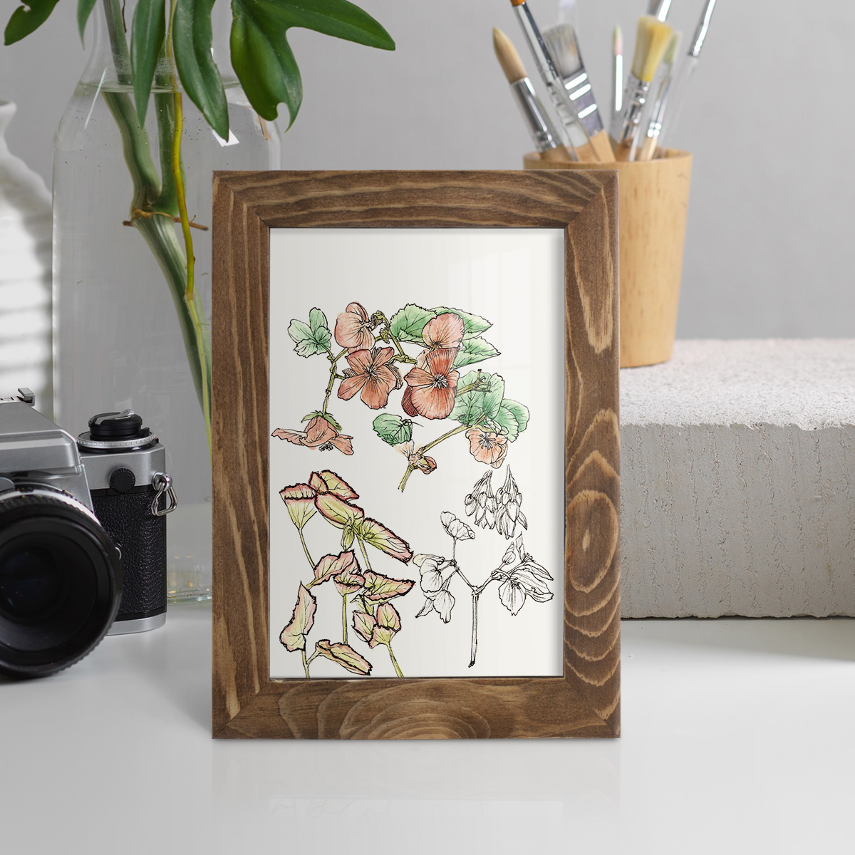 Begonia Study -Framed Print w/glass-Walnut