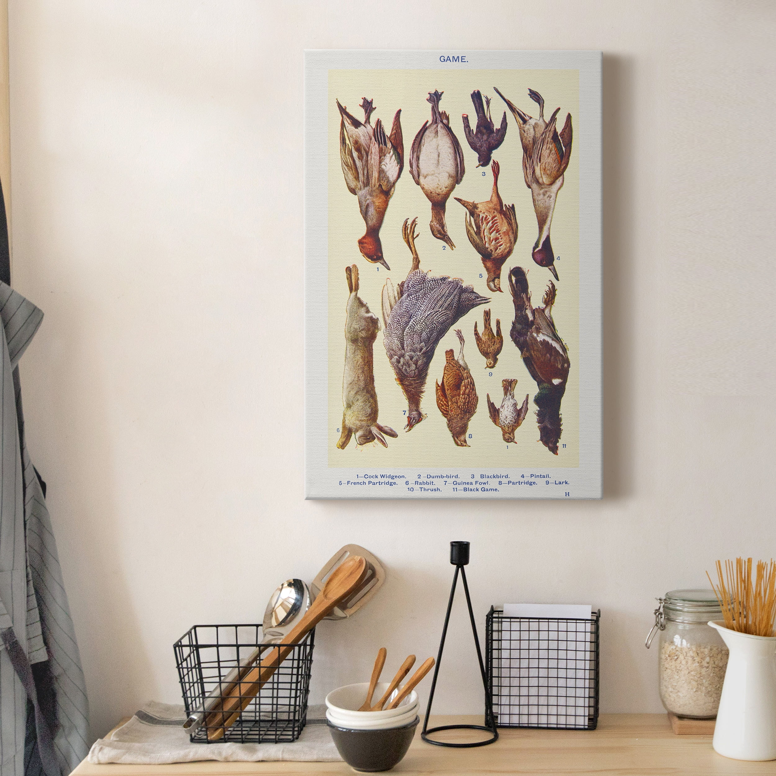 Game II Cock Widgeon, Dumb–bird, Blackbird, Pintail, French Partridge, Rabbit, Guinea Fowl, Partridge, Lark, Thrush, and Black Game Premium Gallery Wrapped Canvas - Ready to Hang - 8 x 12