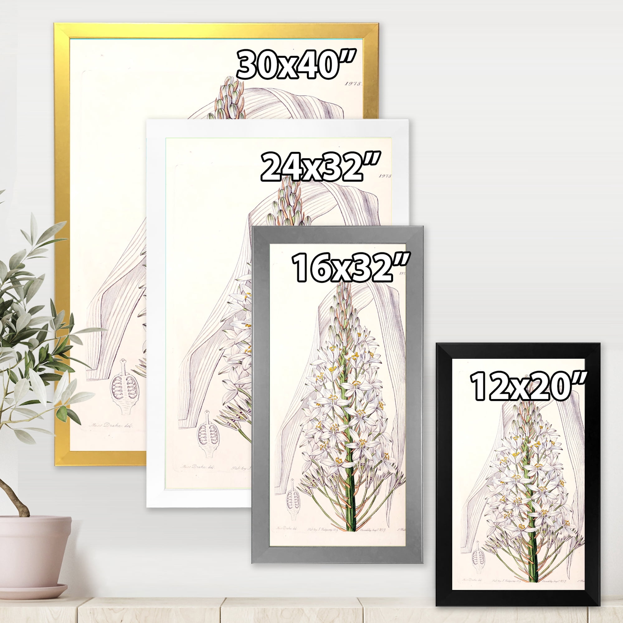 Designart 'White Vintage Orchid I' Traditional Framed Art Print