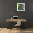 thumbnail image 3 of Fitzharris, Tim 21x20 White Modern Wood Framed Museum Art Print Titled - Ruby Throated Hummingbird, 3 of 4