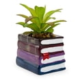 thumbnail image 1 of Maceta de cerámica con forma de pila de libros de Harry Potter con suculentas artificiales, 1 of 7