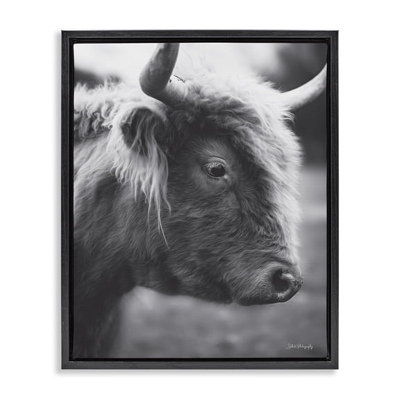 Stupell Industries Farmhouse Close Up Cattle Face Photography Black Floating Frame Canvas Art, 17 x 21, by Dakota Diener