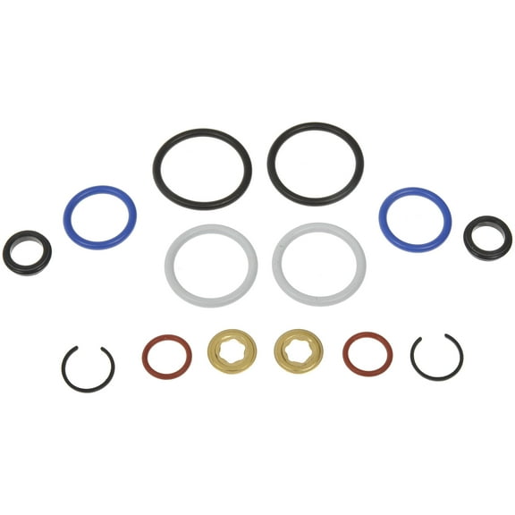 Dorman 904-230 Fuel Injector O-Ring Kit for Specific Ford Models, Black; White; Red; Blue