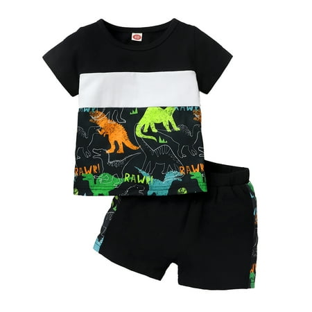 

Toddler Baby Boy Outfits Baby Boy Summer Clothes Short Sleeve Dinosaur Print Shirt Top Shorts Set 12-18 Months