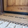 thumbnail image 4 of Rubber-Cal "Funny Doormat Kit" - 2 Rude Doormats & 1 Boot Scraper, 4 of 5