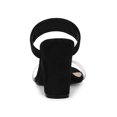 thumbnail image 2 of BLISSFUL STEP Women's Dual Clear Strap Block Heels Mules Slides Sandals Black 6, 2 of 7