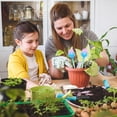 thumbnail image 2 of YFGEFTR Clear Plant Watering Globes, Plastic Self-Watering Bulbs, Automatic Watering Bulbs for Indoor & Outdoor Potted Plants, Vacation Plant Care, Water Conservation Device, 2 of 5