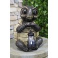 thumbnail image 1 of Ebros Gift Adorable Baby Turtle Tortoise Holding Solar Lantern Garden Path Lighter Statue, 1 of 8
