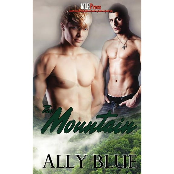 The Mountain (Paperback)