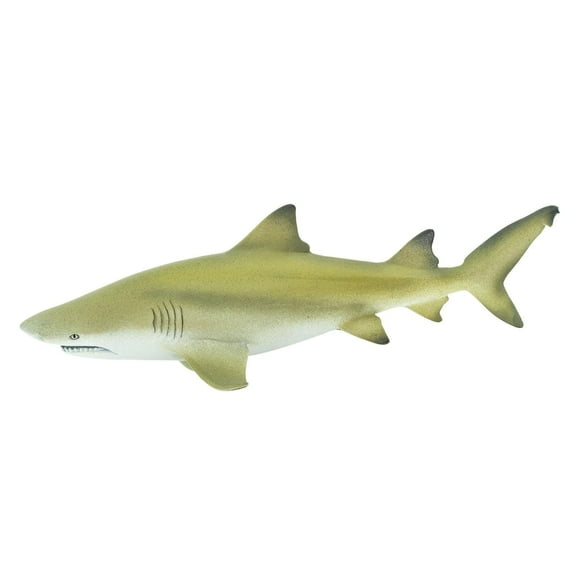 Safari Ltd. Lemon Shark Figurine- Realistic 5.75"" Plasticfigure - Educational Toy For Boys Girls And Kids Ages 3+