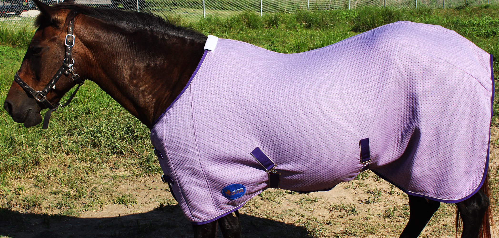 78" Horse Stretchable Cotton Show Sheet Blanket Summer Spring Winter