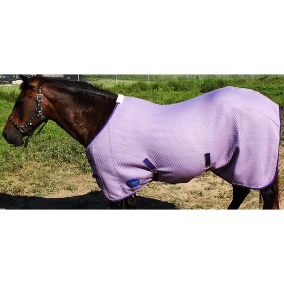78" Horse Stretchable Cotton Show Sheet Blanket Summer Spring Winter Purple 5342