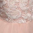 thumbnail image 3 of Baby Girl's Sequin Mesh Dress Kids Lace Embroidery Ball Gown Children's Party Dress Tulle Prom, 3 of 3