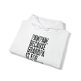 thumbnail image 4 of PawPaw Paw Paw New Grandpa Fathers Day Hoodie, Gifts, Hooded Sweatshirt, 4 of 4