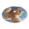 thumbnail image 2 of KLL Christmas Tree Skirt,Party Decorations Farmhouse for Christmas Decorations Holiday Party 36" -Playful Cat Fisheye View, 2 of 6