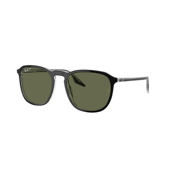 Sunglasses Ray-Ban RB 2203 F 919/58 Black On Transparent Polar Gre