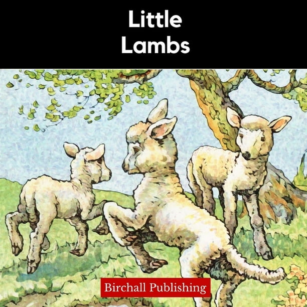 Rhymes for Early Readers Little Lambs (Series 3) (Paperback