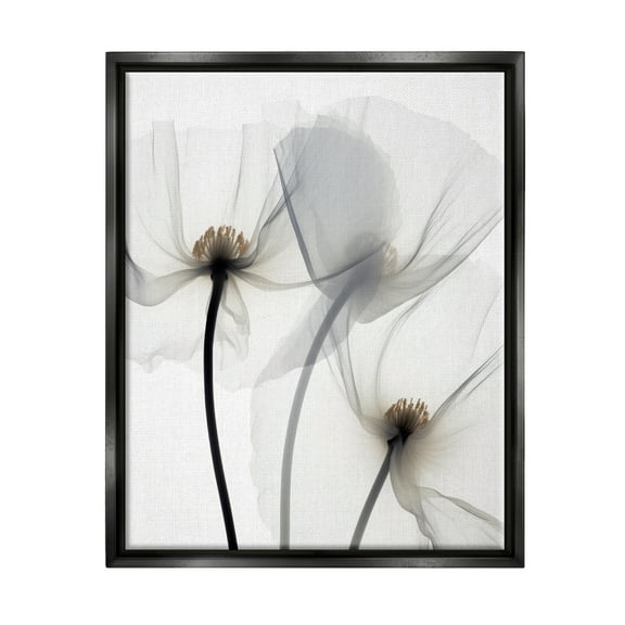 Stupell Industries Modern White Poppies Botanical & Floral Photography Black Floater Framed Canvas Art Print Wall Art, 17 x 21