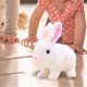 thumbnail image 1 of Juguete de conejo de peluche Conejo de peluche Juguete de bebé Animal de peluche Realista Lindo Juguete de conejo suave para Niñas y Edad blanco CUTICAT conejo de peluche, 1 of 8