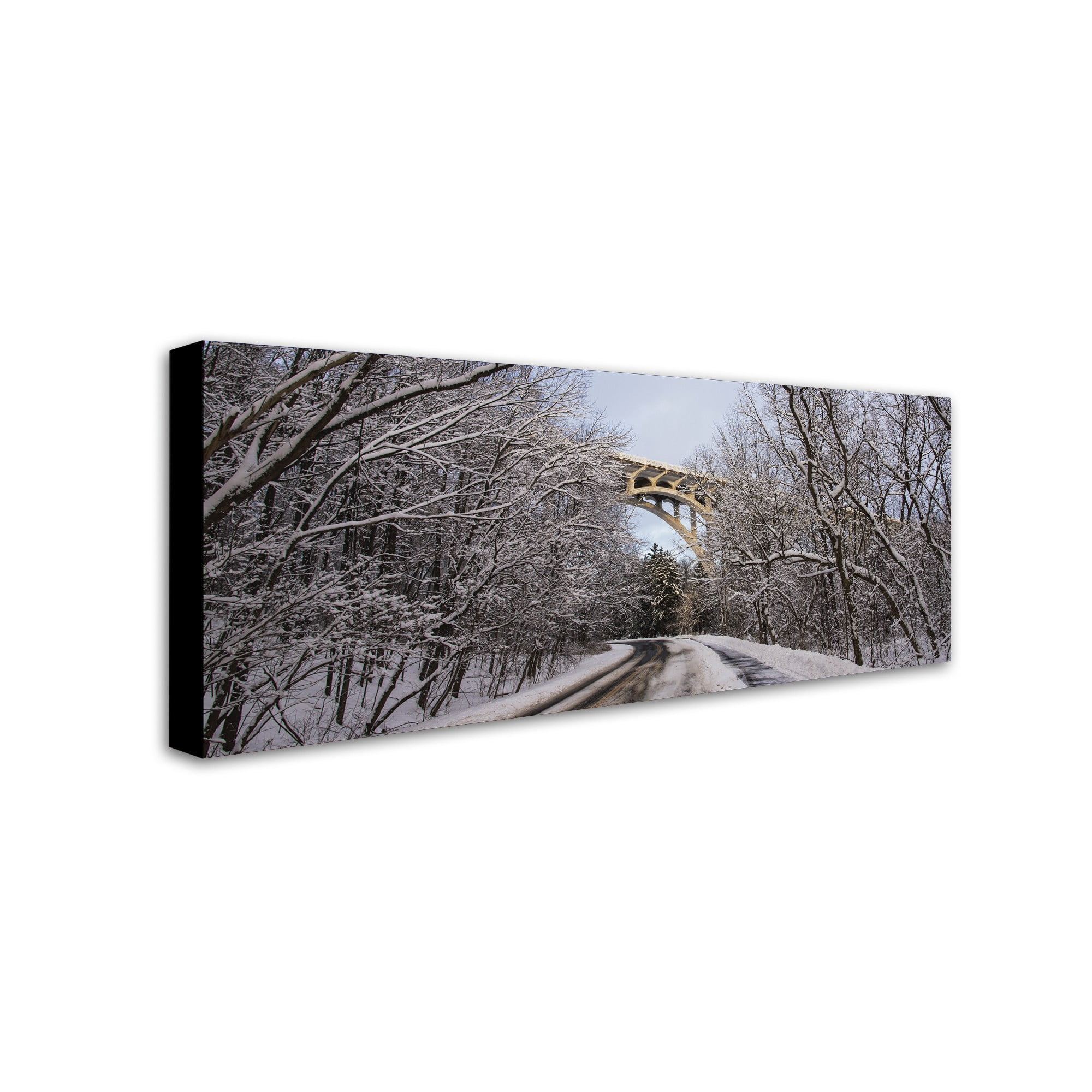 Trademark Fine Art "Heavy Snowfall Along the Parkway 2" Canvas Art by Kurt Shaffer