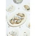 thumbnail image 3 of 1x Studio III 11x14 Black Modern Framed Museum Art Print Titled - Oysters a Pearls No 04, 3 of 5