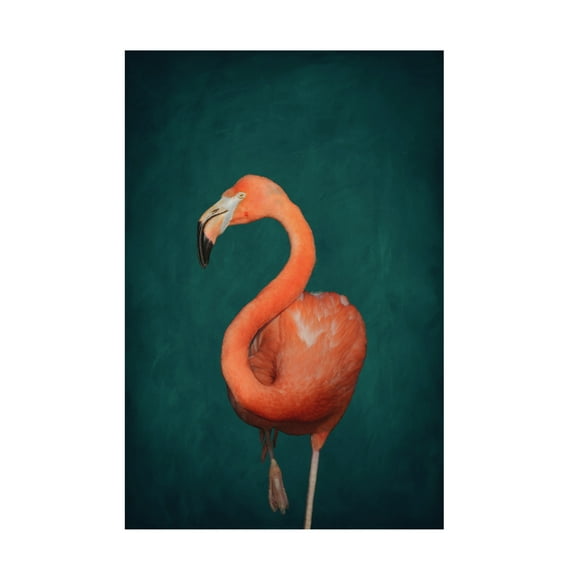 Aureous 'Green Flamingo' Canvas Art