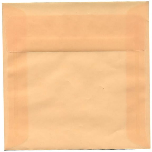 JAM Paper 6 x 6 Translucent Envelopes, Spring Ochre Ivory, 50/Pack
