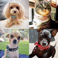 thumbnail image 5 of Golden Spike Collar for Dogs,With traction rope Spiked Dog Collar, Durable PU Leather Studded Dog Collar with Leash, Funny Mushrooms Rivet Small Puppy Pet Cat Adjustable Collar 1Pack, 5 of 7