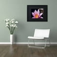 thumbnail image 3 of Trademark Fine Art "Pink Water Lily" Canvas Art by Kurt Shaffer, Black Matte, Black Frame, 3 of 4