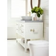 thumbnail image 3 of Amerock Revitalize Golden Champagne Single Post Toilet Paper Holder, 3 of 8