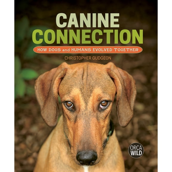 Orca Wild Canine Connection: How Dogs and Humans Evolved Together, (Hardcover)