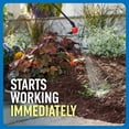 thumbnail image 4 of Roundup Weed & Grass Killer₄ Concentrate, Use In Flower Beds and other areas of your yard, 35.2 fl.oz., 4 of 11